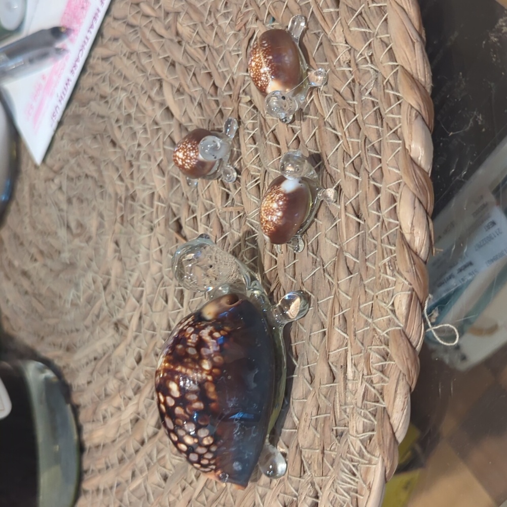 Shell Turtle Family